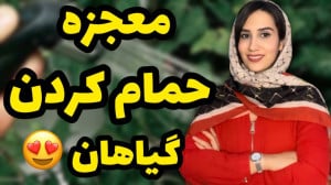 رشد چند برابری گیاهان با حمام...
