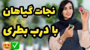 درب بطری میتونه گیاهتو نجات بد...