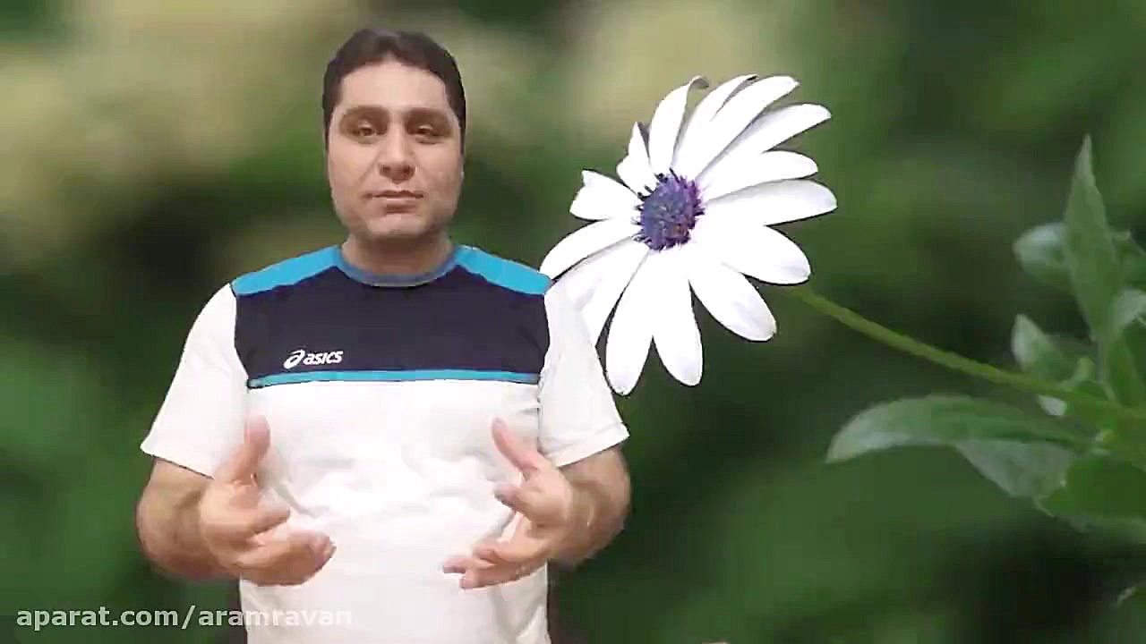 تنفس شکمی یا دیافراگمی