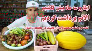 پارت ششم کاشت سبزی و صیفیجات ب...