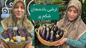 بهترین روش تهیه ترشی بادمجان ش...