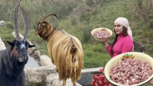 پخت چقرتما با دل مرغ در دل روس...
