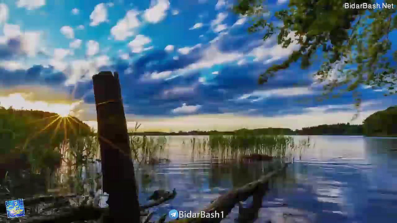 لذّت  سید حسن آقامیری