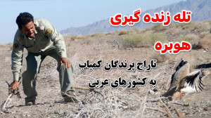 تخریب تله زنده گیری هوبره و تا...