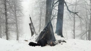«گیر افتاده در یک طوفان...