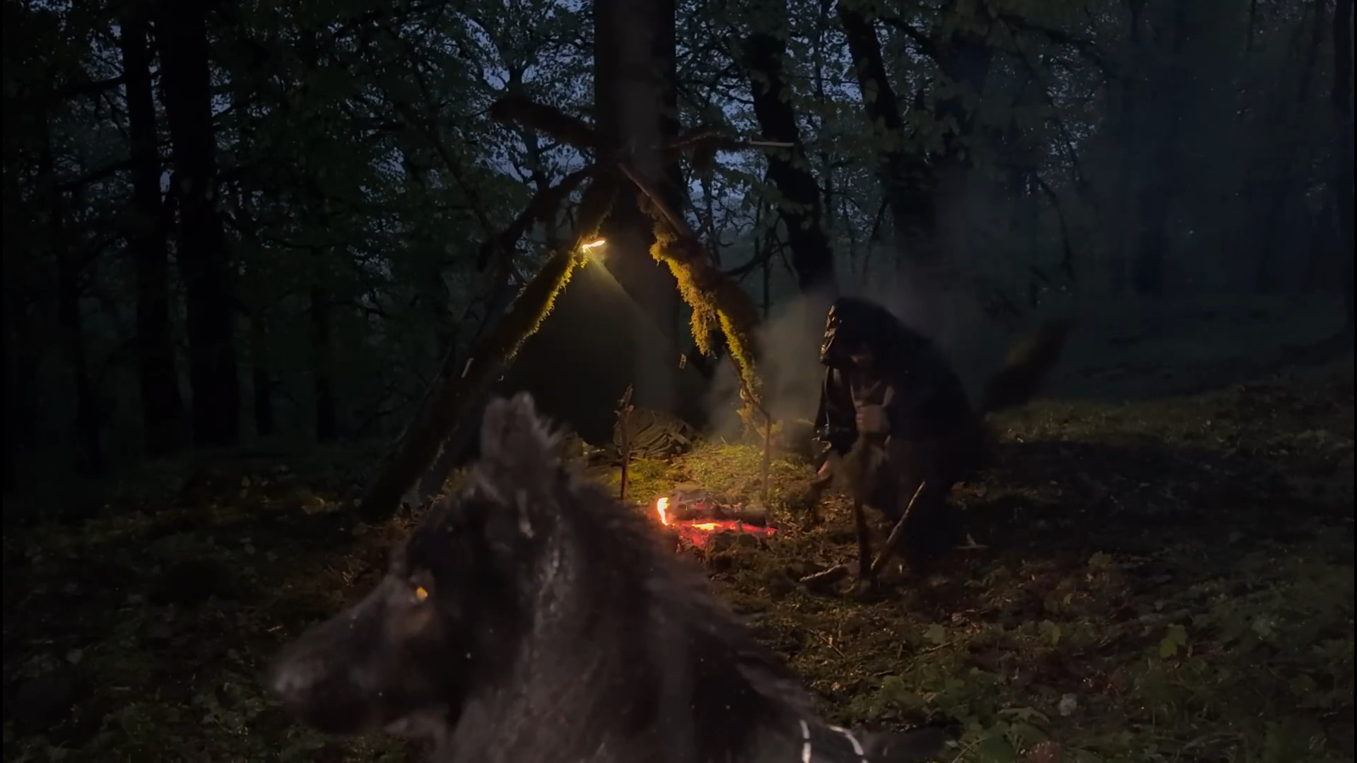 می‌توانم در باران شدید زنده بم...