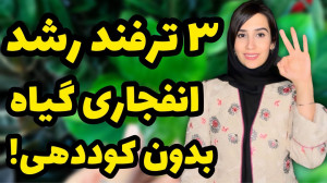 با این ۳ ترفند بدون کوددهی رشد...
