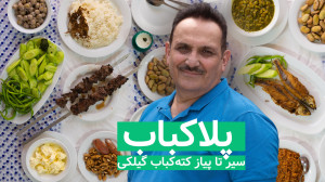 پلاکباب، سیر تا پیاز کتهکباب...