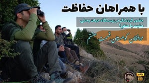 همراه با داوطلبان گاوبانگی