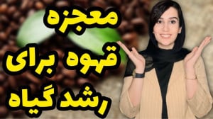 معجزه تفاله قهوه برای رشد گیاه...