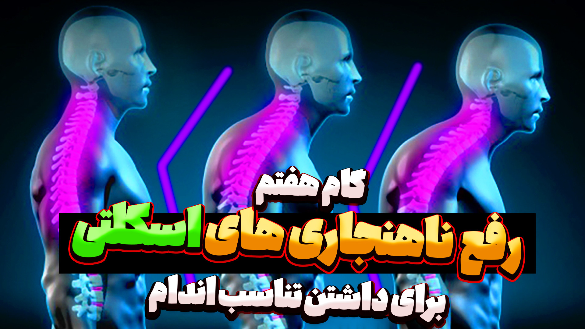 گام هفتم مسیر تتاسب اندام