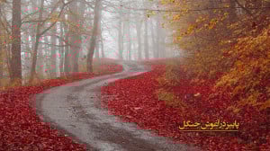 پاییز در آغوش جنگل و دریا | طب...