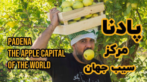 پادنا، مرکز سیب جهان