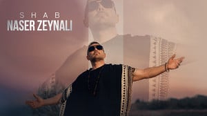 آهنگ جدید ناصر زینلی به نام شب