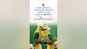 آهنگ عاشقانه  آهنگ ویژه استوری...