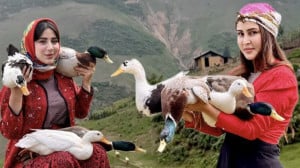 باسترمای اردک در سطل اشپزی در...