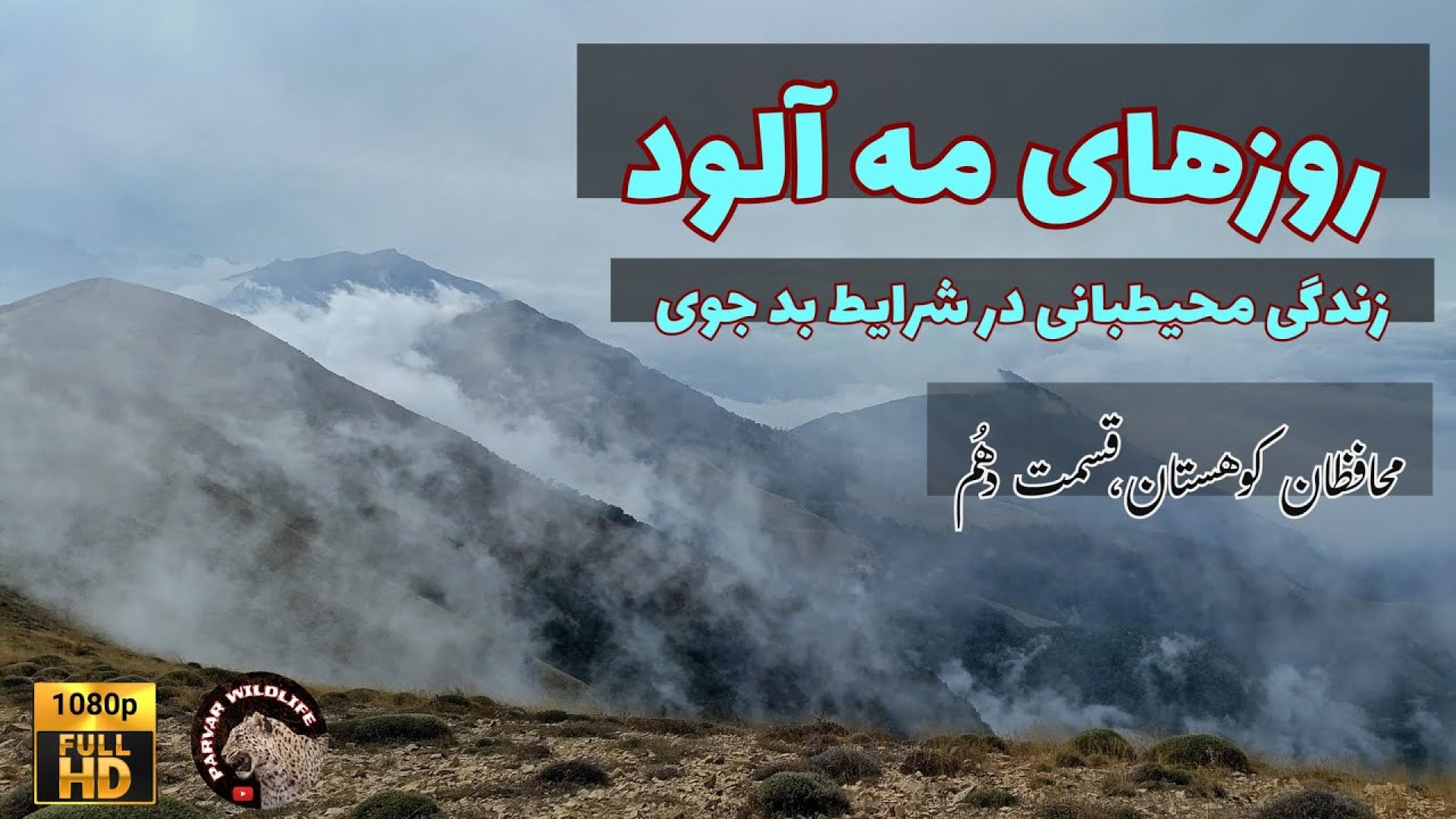 سه روز سخت در کلبه محیطبانی