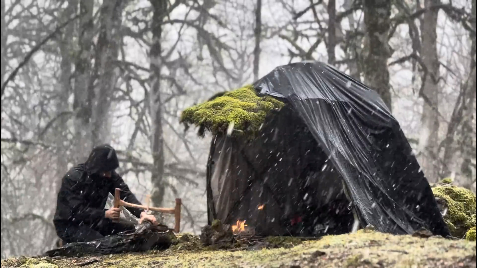 آیا می‌توانم به تنهایی در کولا...