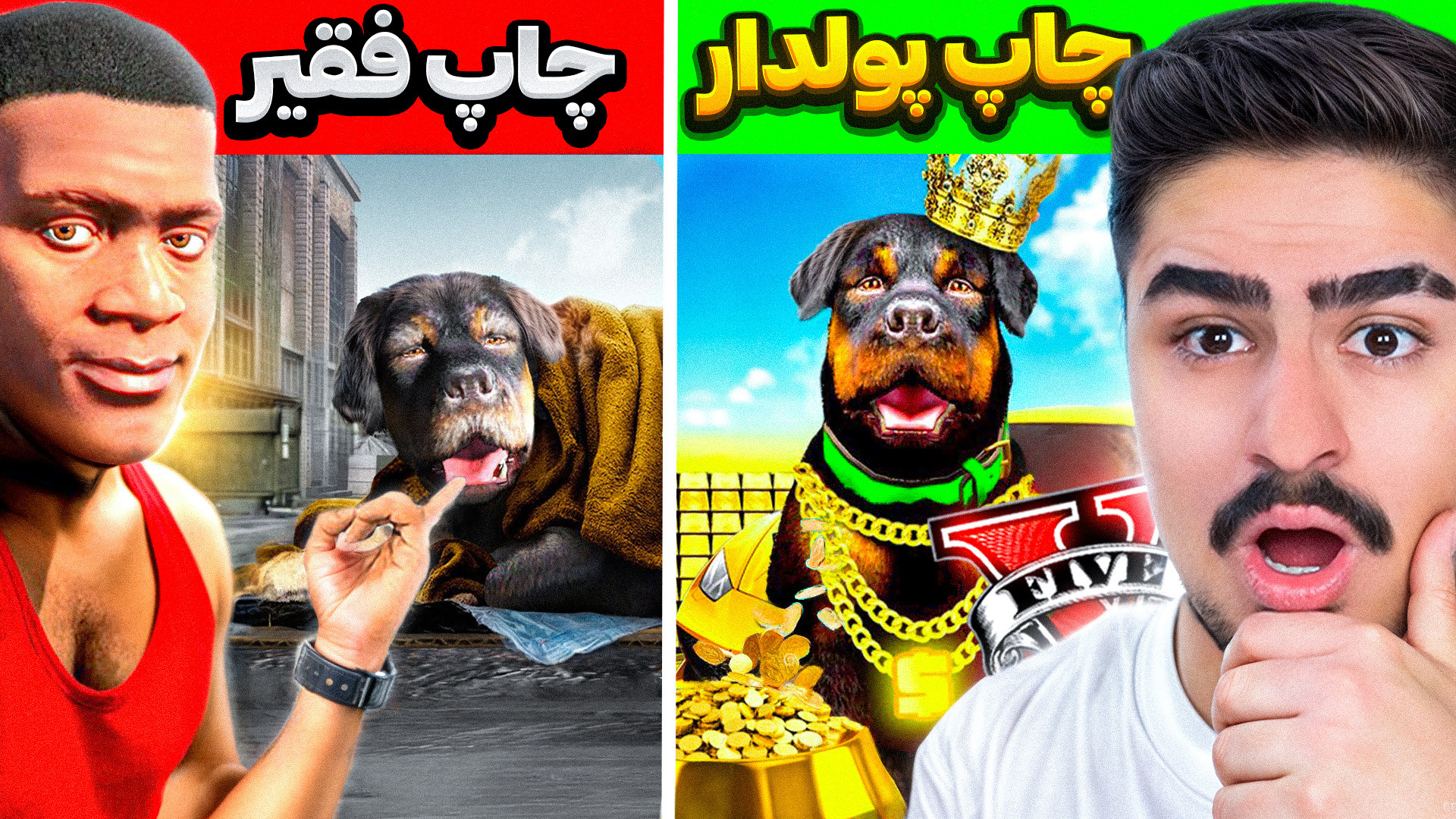 چالش فقیری تا پولداری با سگ فر...