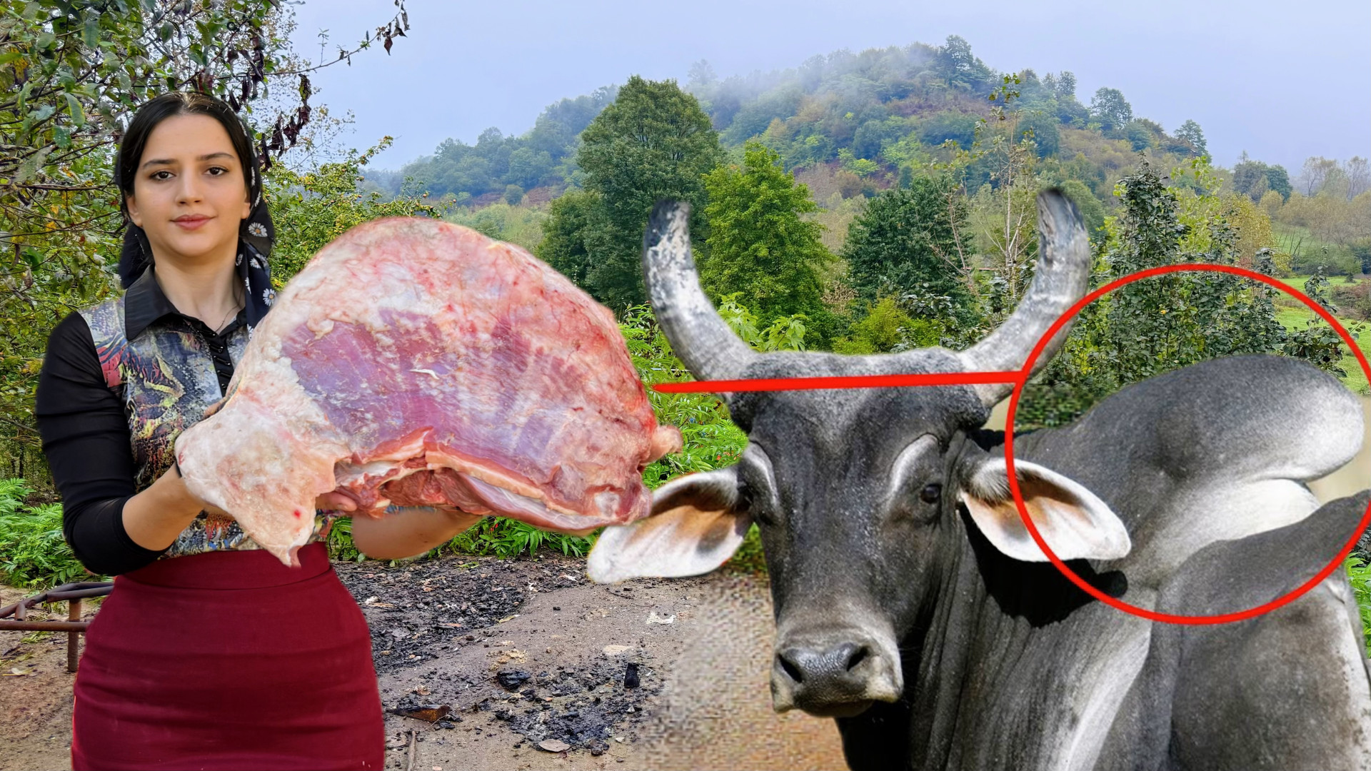 پخت استیک با کوهان گاو و نان م...