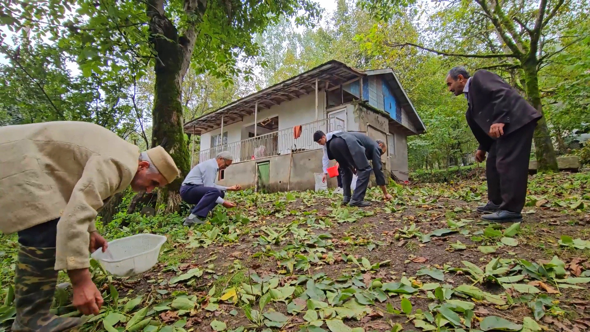 روستای ییلاقی لُرون تالش با در...