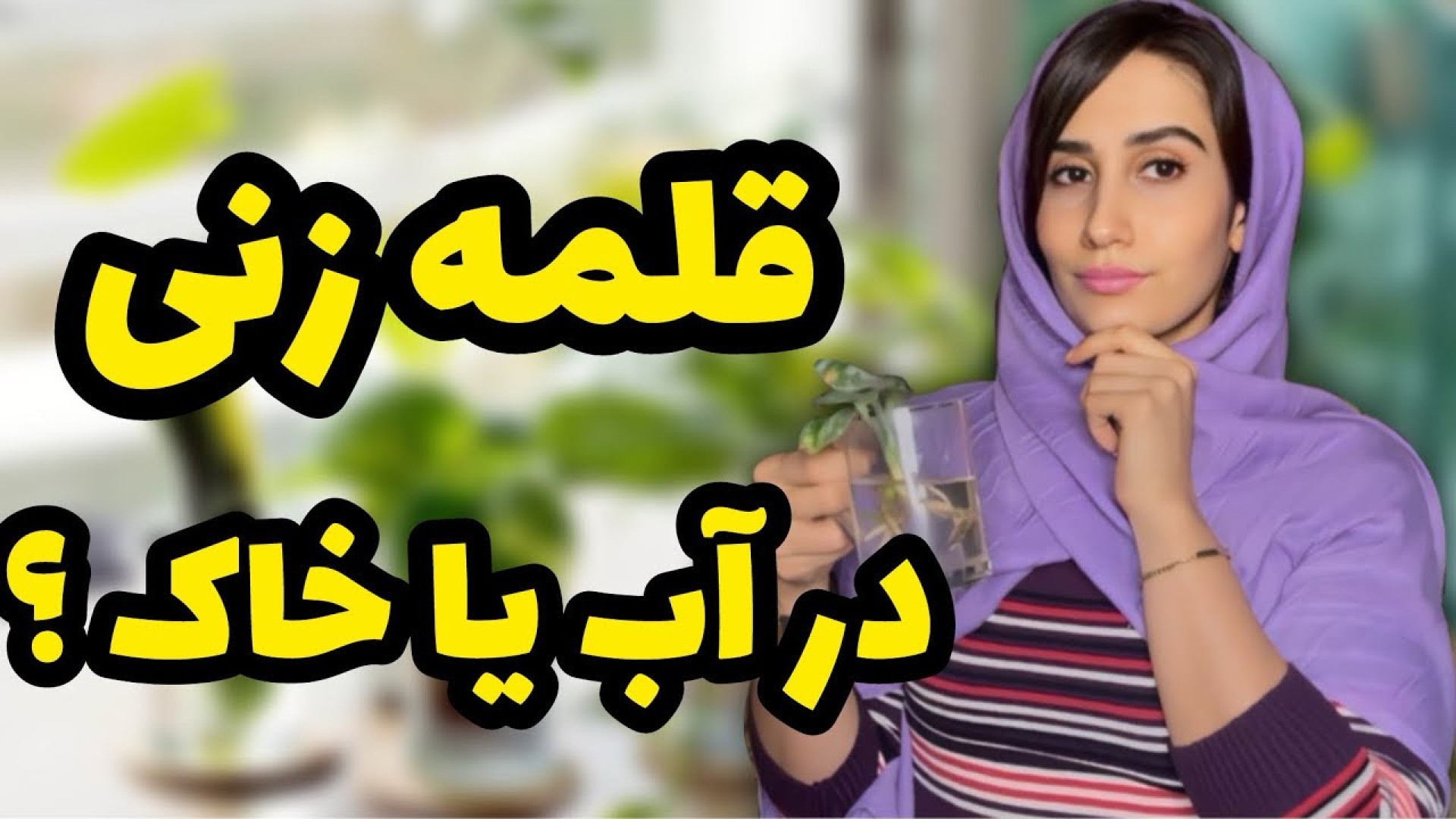 قلمه هامون رو داخل آب ریشه دار...