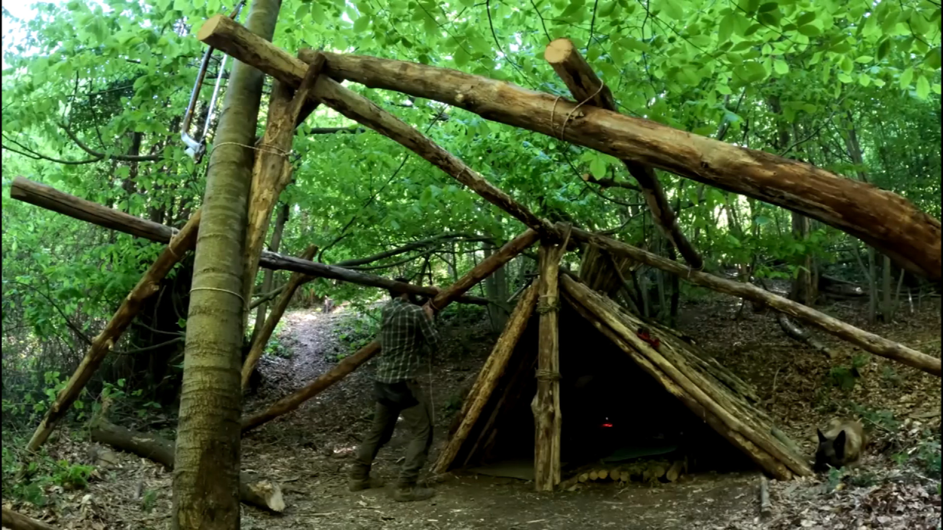 کمپینگ در جنگل با سگم و ساخت ک...