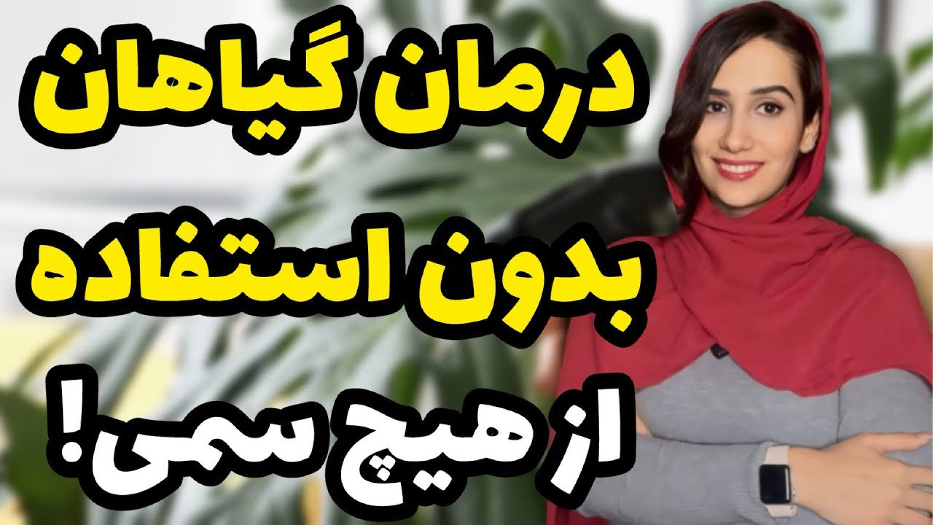 درمان آفت گیاهان بدون استفاده...