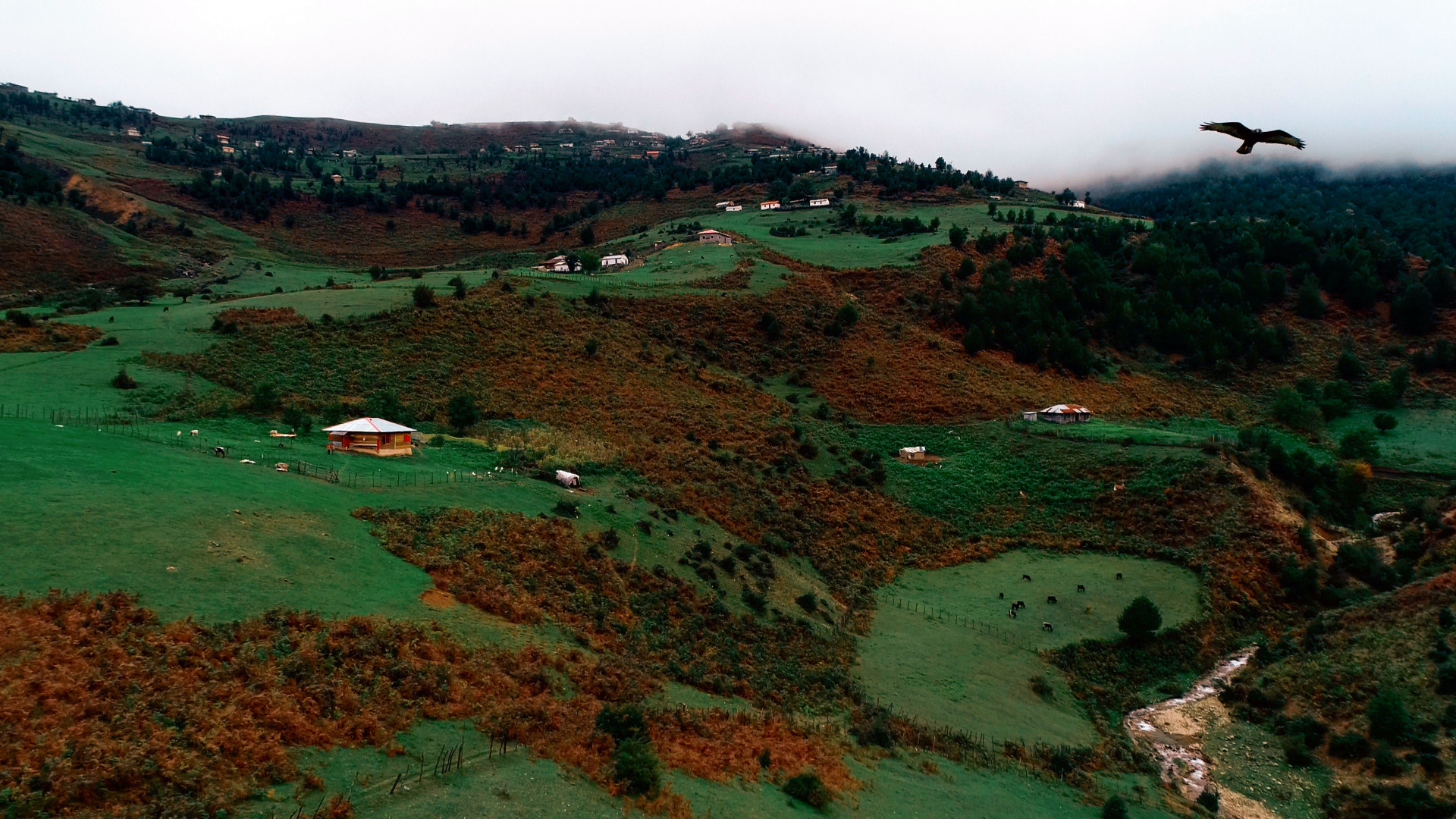 آرامش در ارتفاعات گیلان و طبیع...