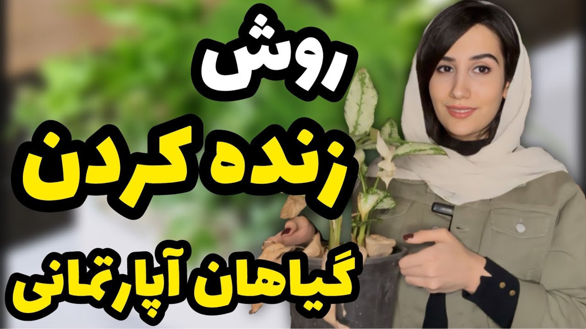 گیاه بدحال دارین؟ اینجوری احیا...