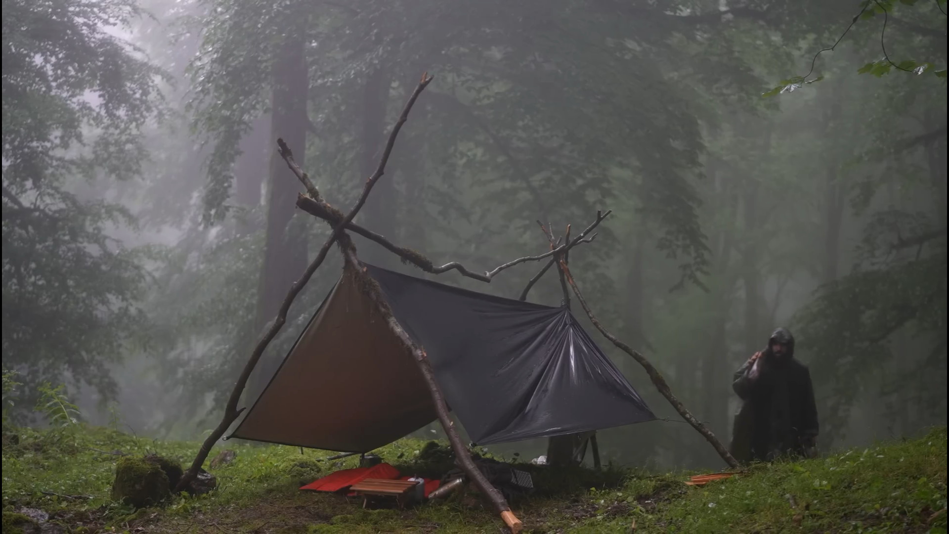 تاریک و گرفته، باران سنگین: ما...