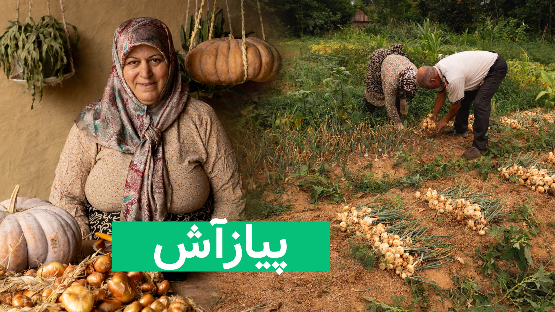 پیازآش، سوپ ساده پائیزی