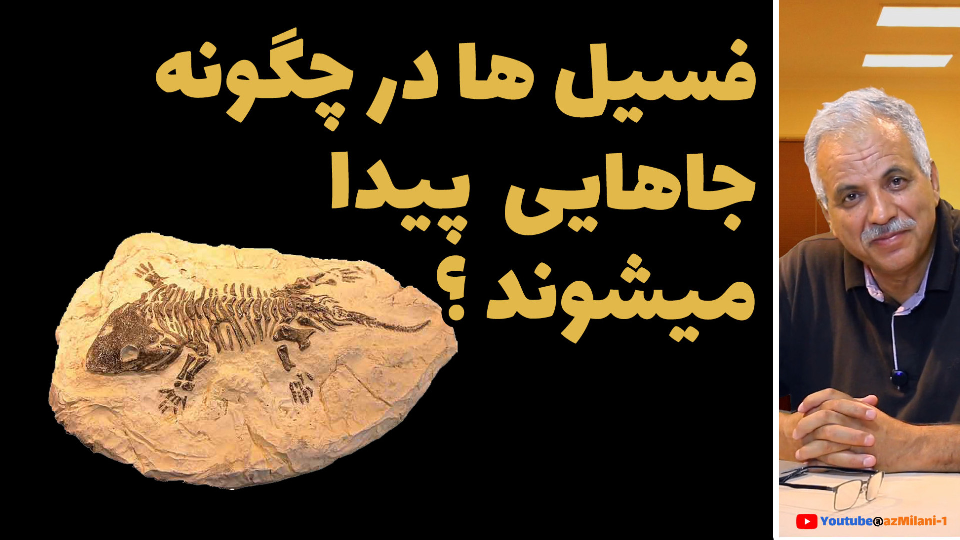 فسیل چگونه تشکیل میشود و در کج...