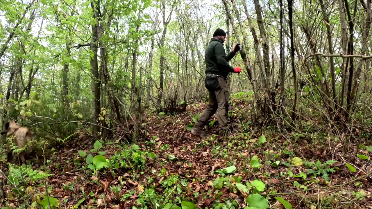 کباب بازی گوشت و جگر و کمپینگ...