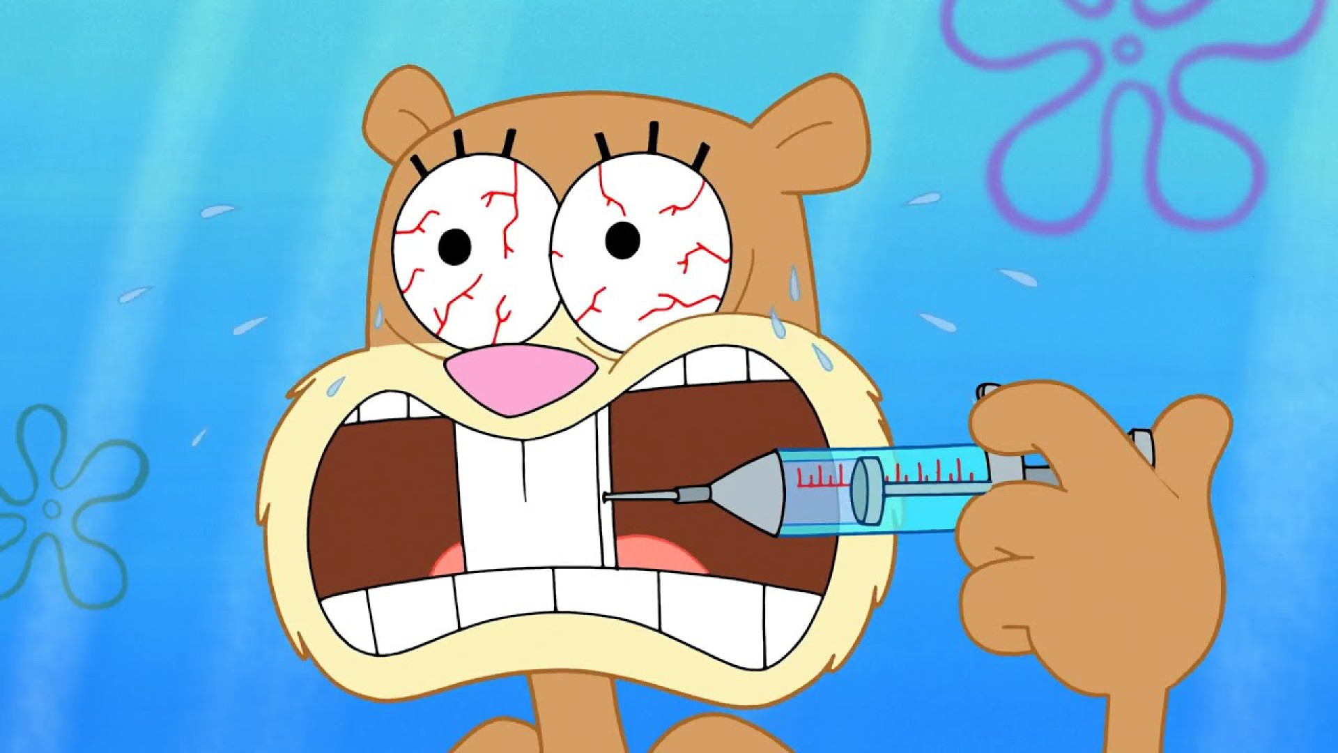 باب اسفنجی آپارات، انیمیشن باب...