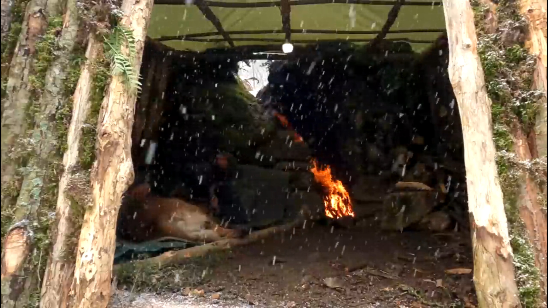 2 روز آرامش مطلق در کمپینگ برف...