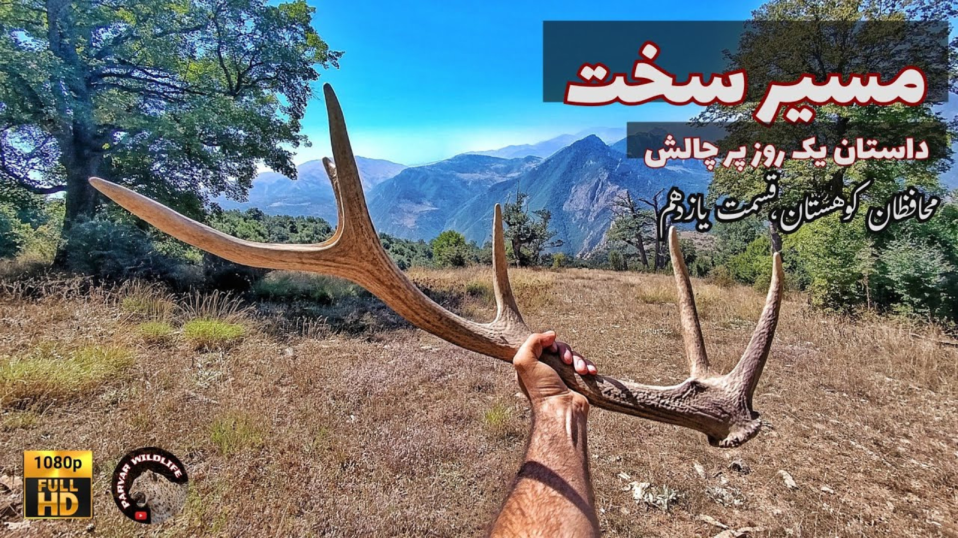 یک روز پر چالش در محیطبانی