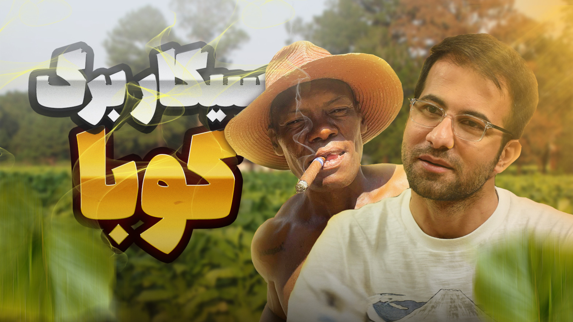 ماجرای دیدنی در مزارع توتون کو...