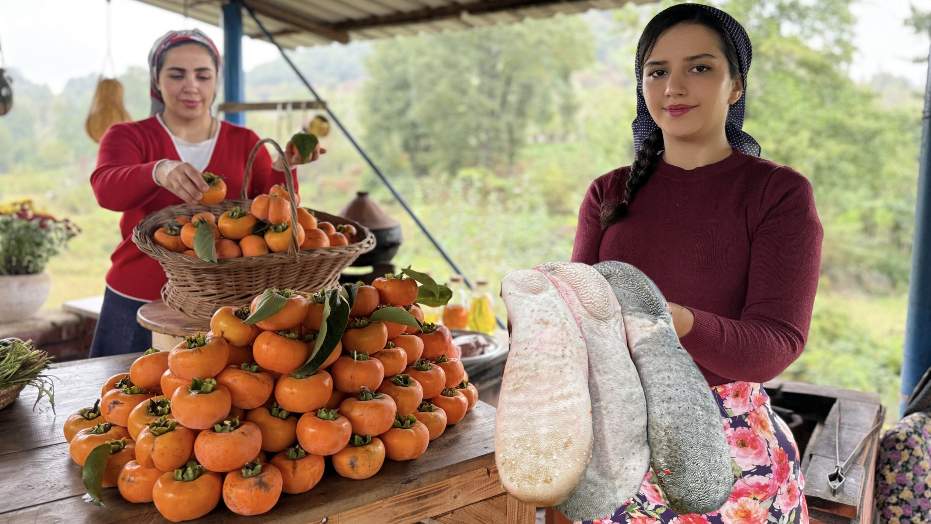 برداشت خرمالو و پخت زبان غذای...