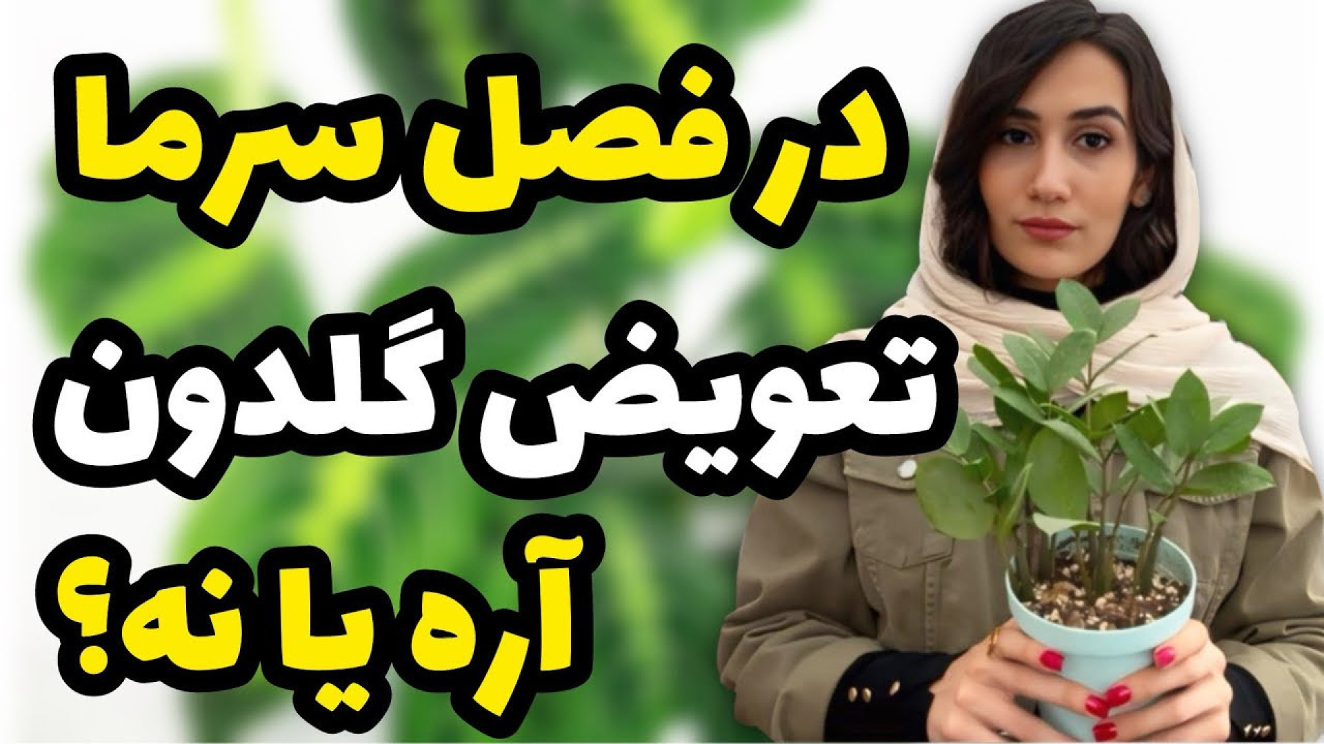 در فصل پاییز و زمستان میتونیم...