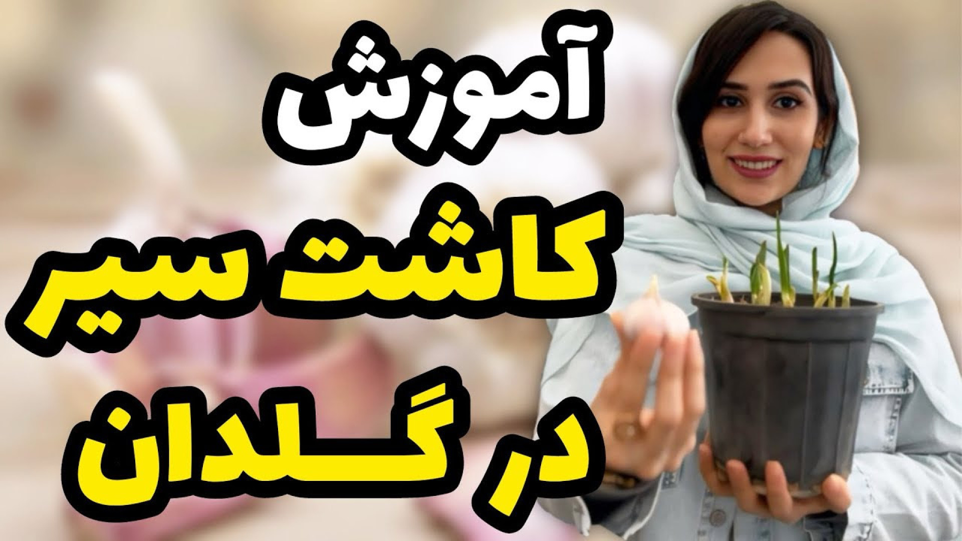 نحوه کاشت سیر در گلدان و داخل...
