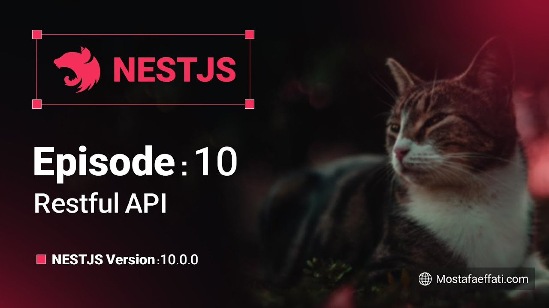 10 | Restful API