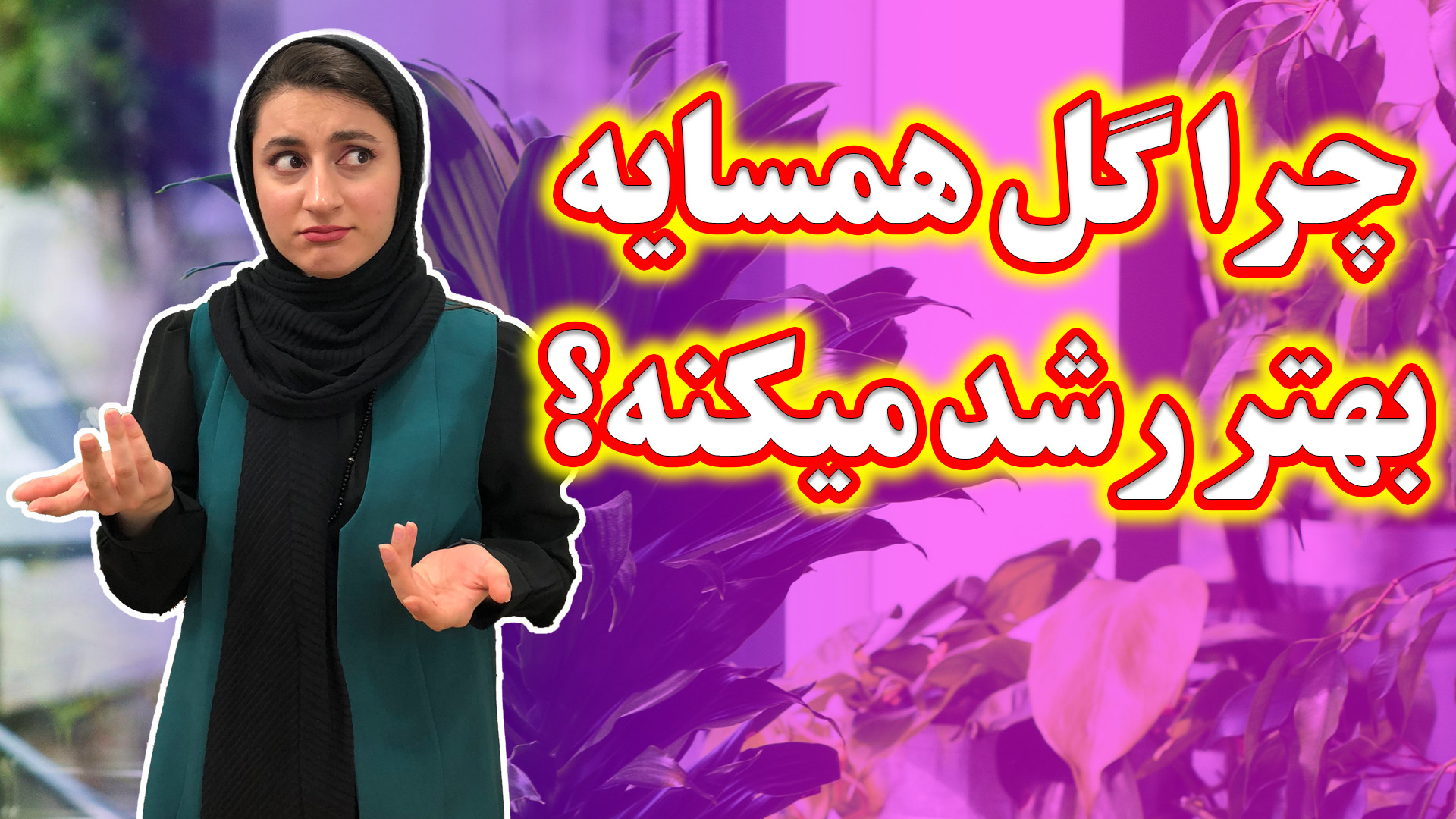 تفاوت عجیب رشد گیاهان آپارتمان...