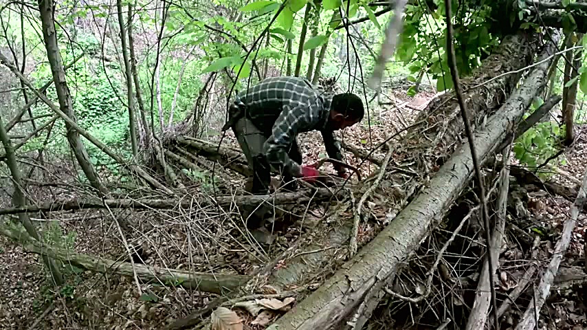 کمپیمگ و آرامش و ساخت پناهگاه...