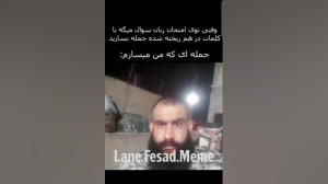انواع گوز ها