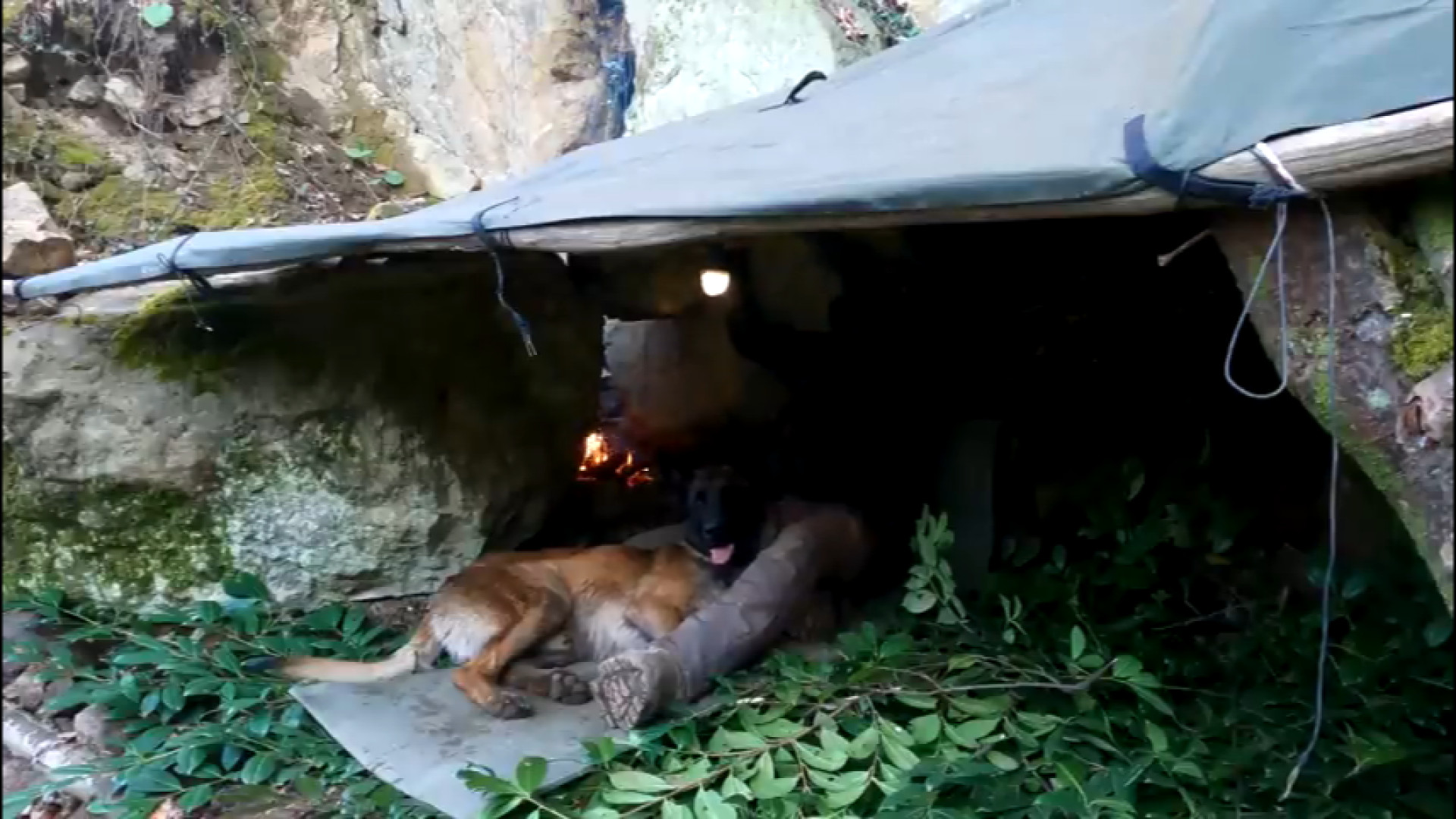 کمپینگ آرامش بخش در پناهگاهی د...