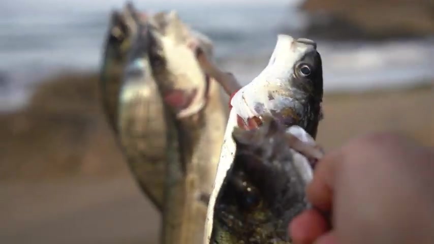 کمپینگ در جزیره دور افتاده در...