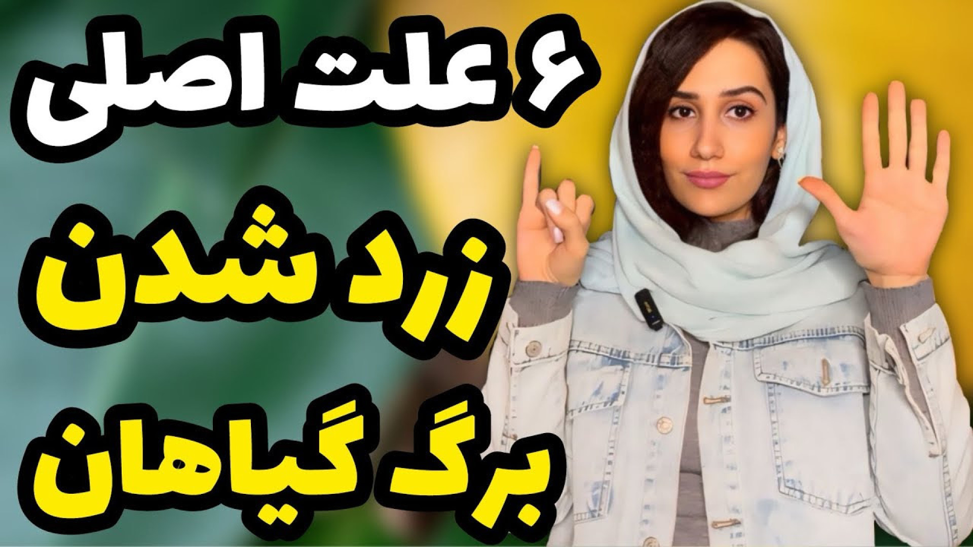 ۶ علت اصلی که باعث زرد شدن برگ...