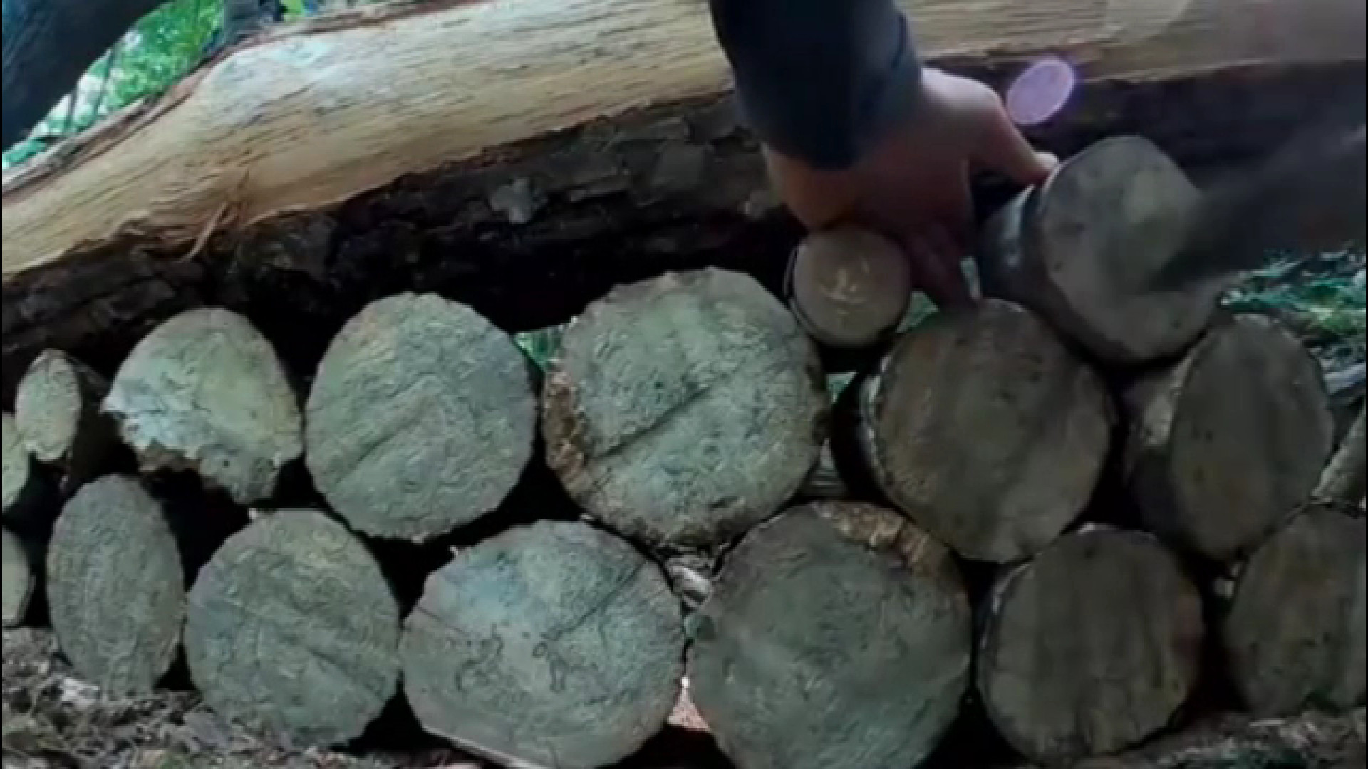 کمپینگ و ساخت کلبه ای از چوب و...