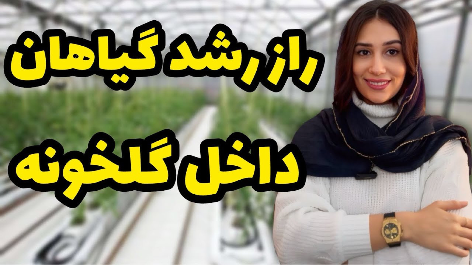 راز رشد گیاهان در گلخونه رطوبت...